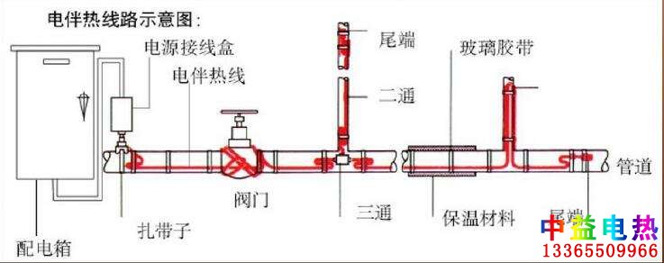 黄瓜直播下载APP下载安装系统图